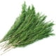 thumbnail image 1 of Ramas de pino real preservadas, agujas de pino naturales de 43 cm, plantas verdes, tallos de pino de 95 g, púas de pino perenne para guirnaldas navideñas, decoración del hogar, bodas y arreglos floral, 1 of 8