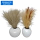 thumbnail image 1 of Macetero decorativo con pampas artificiales, productos surtido 1 un, 1 of 1