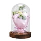 thumbnail image 2 of Ilumina La Rosa En La Cúpula De Cristal Luz LED Flor Artificial Para Mujeres Regalo De Mamá, 2 of 5