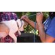 thumbnail image 2 of Correa Cesar Millan Regular Azul/Naranja, 2 of 2