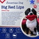 thumbnail image 3 of Juguete para perros American Dog Classic Collection Squeaking Big Red Lips, 3 of 6