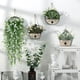 thumbnail image 2 of Flores colgantes artificiales, 2 piezas falsas flores de la vid de eucalipto faux flor verde guirnalda plantas de plástico para interior al aire libre jardín de la pared boda decoración de l, 2 of 3