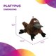 thumbnail image 3 of Juguete para perros TrustyPup Ornitorrinco grande marrón con chirrido silencioso, 3 of 7
