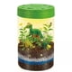 thumbnail image 2 of Kit Terrario Dinosaurios DIY Juguete Educativo con Luces, 2 of 3