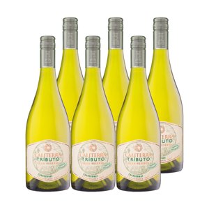 6X Vino Caliterra Tributo Gran Reserva Chardonnay 750Cc