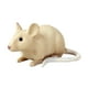 thumbnail image 4 of Modelo de Juguete de Ratón para Niños, Figura de Juguete de , Utilería de Broma, Figura de Animal de Simulación, Suministros para Fiesta de Guarde Estilo A, 4 of 5