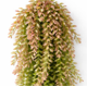 thumbnail image 1 of Planta Colgante Artificial Primavera, 1 of 3