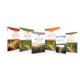 thumbnail image 2 of Kit de Currículo Celebrate Recovery – HarperChristian Resources, 2 of 3