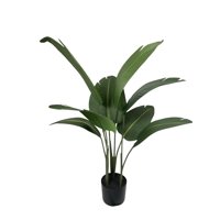 Corel - Ave Del Paraiso (Strelitzia) 90Cm