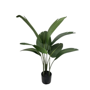 Corel - Ave Del Paraiso (Strelitzia) 90Cm