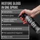thumbnail image 2 of Detail Spray Adams Pulishes Graphene 473 Ml Extiende La Protección, 2 of 6