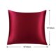 thumbnail image 4 of PiccoCasa 1 Pc Funda de Almohada de Seda de 19 Momme con Cremallera Oculta No Estándar Rojo Vino 16" x 16", 4 of 7
