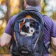 thumbnail image 2 of Mochila transportadora para perros Kurgo G-Train impermeable azul marino, 2 of 7