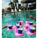thumbnail image 5 of Soporte inflable para bebidas BoboFly Flamingos para fiesta en la piscina (16), 5 of 5