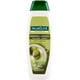 thumbnail image 1 of Champú Palmolive Long & Shine Olive, 1 of 6