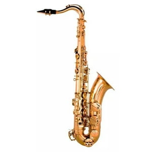Saxofón Tenor Profesional Fontaine Ft 6435 L