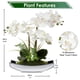 thumbnail image 2 of Flores artificiales Briful Orquídeas blancas Phalaenopsis x15, 2 of 6