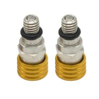 Magideal - 2 Piezas M5 0,8Mm Válvu De Presión De Purga De Aire De Horquil Para Motocicleta Reempzo Directo Accesorio De Instación Duradero , Oro