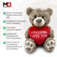 thumbnail image 5 of Oso de Peluche Messenger Bear 36 cm I Love You, 5 of 7