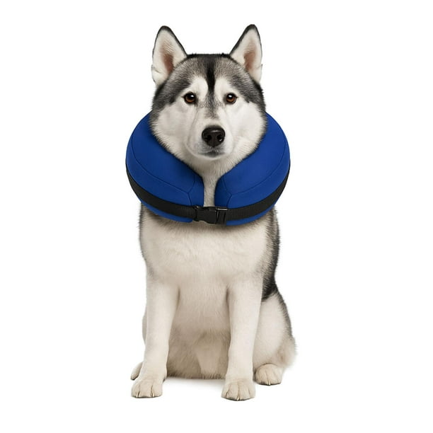 Collar Inflable XL (45-56 cm) Recuperación Perros blanco XL