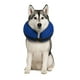 thumbnail image 1 of Collar Inflable XL (45-56 cm) Recuperación Perros blanco XL, 1 of 7