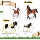 thumbnail image 3 of Set 10 Figuras Caballos Zippytots Juego Realista, 3 of 3