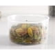 thumbnail image 4 of Contenedor Tapa Medidora Dosificador Almacenamiento Cereales salmon, 4 of 8