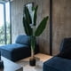 thumbnail image 1 of Bird Of Paradise Artificial De 160 cm, 1 of 2