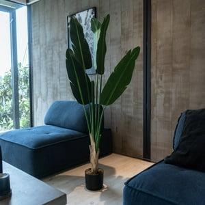 Vadell Home - Bird Of Paradise Artificial De 160 Cm