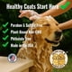 thumbnail image 3 of Champú para Perros Healthy Surplus 473 ml Avena y Aloe, 3 of 6