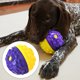 thumbnail image 3 of Squeaky Dog Ball Juguetes Para Masticadores Agresivos Goma Chew Ball Amarillo Púrpura, 3 of 7