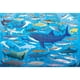 thumbnail image 2 of Tiburones de Editorial Usborne, 2 of 5