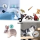 thumbnail image 3 of Microchips para mascotas ISENVO 134,2 kHz FDX-B, paquete de 20, 2,12 x 12 mm, 3 of 6
