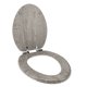 thumbnail image 1 of Asiento de inodoro Home+Solutions alargado de madera gris envejecida, 1 of 7