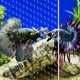 thumbnail image 5 of Divisor para Acuario LYL LEYOULAND 44 × 30 cm – Juego de 2, 5 of 7