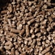 thumbnail image 5 of Pellets de madera para BBQ Bear Mountain de aliso, bolsa de 9 kg (paquete de 2), 5 of 9