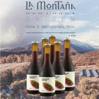 La Montaña - Sixpack American Porter 6,5Gl 330Cc