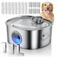 thumbnail image 1 of Fuente de Agua para Perros MAILOFY 11L Acero Inoxidable con 8 Filtros, 1 of 8