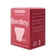 thumbnail image 4 of Vaso Esterilizador 1Un Bentley, 4 of 6