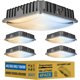 thumbnail image 1 of Luz LED Canopy Singcenwon 100W 4 Pack Regulable 3CCT, 1 of 3