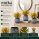 thumbnail image 4 of Set 3 Plantas Artificiales Flores Velo de Novia Decoracion amarillo, 4 of 6