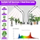 thumbnail image 2 of Grow Lights RWNTAO Upgrade 168 LED de espectro completo (paquete de 2), 2 of 7