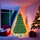thumbnail image 5 of Arbol De Navidad 1.8-1.9 Cm Color Verde Jardimex, 5 of 7