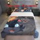 thumbnail image 1 of 3pcs Animation Warrior Cat Style Theme Print Three Piece Bedding Set Soft Quilt Cover And Two Pillowcases, 1 of 1