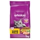 thumbnail image 1 of Alimento Seco Gato Adulto Sabor Pollo Bolsa, 1 Kg, 1 of 9