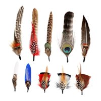 Magideal - Plumas De Sombrero Sombreros De Vaquero Plumas Coloridas Plumas Elegantes Y Elegantes Plumas De Artesanía Para Sombreros De Sombreros Fedora Decoració Estilo A