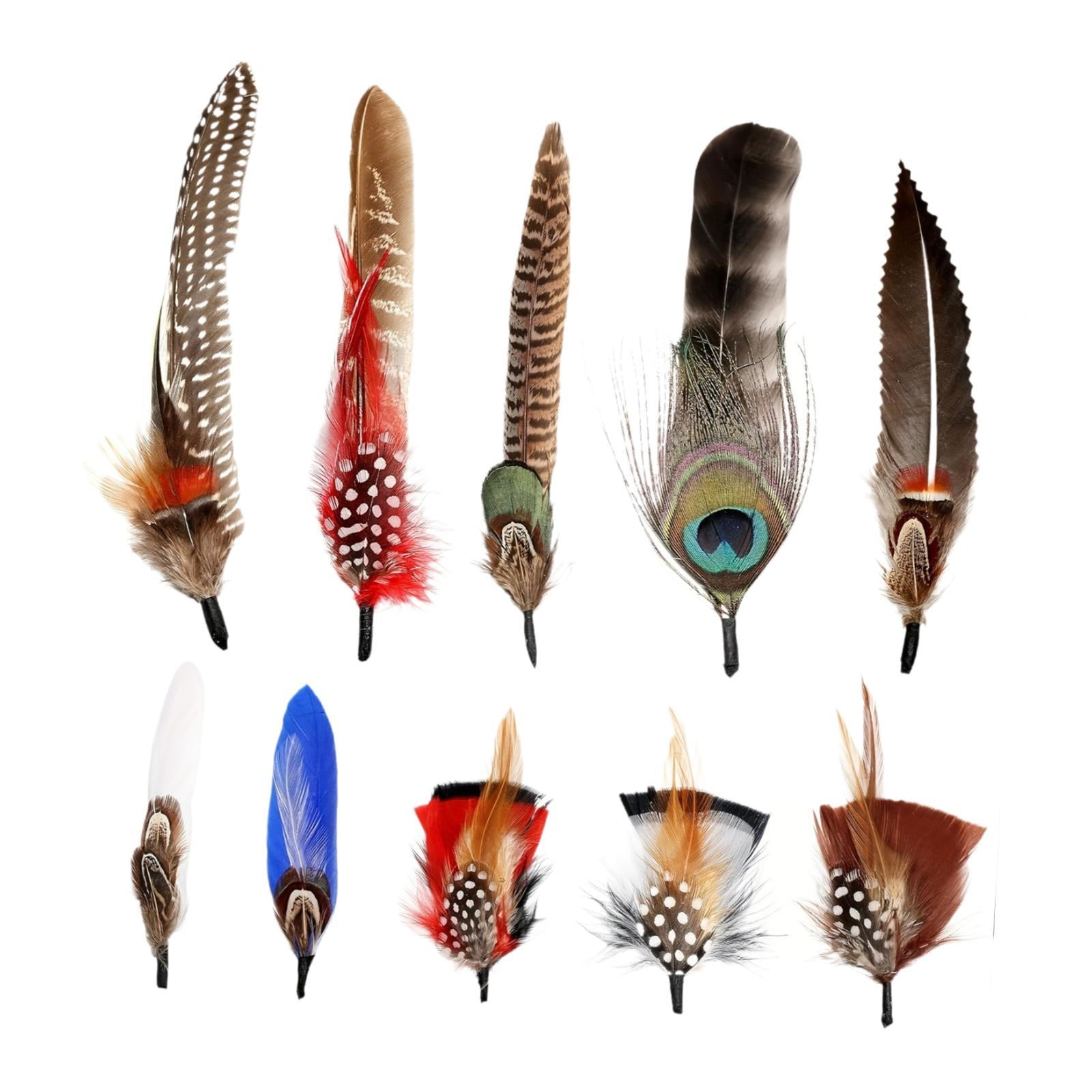 Magideal - Plumas De Sombrero Sombreros De Vaquero Plumas Coloridas Plumas Elegantes Y Elegantes Plumas De Artesanía Para Sombreros De Sombreros Fedora Decoració Estilo A