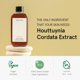 thumbnail image 3 of Tónico facial ONE THING Houttuynia Cordata Extract 300 ml vegano, 3 of 9