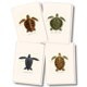 thumbnail image 1 of Juego de tarjetas de notas Earth Sky + Water, 8 tarjetas surtidas, 1 of 6