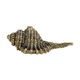 thumbnail image 4 of Mini Estatuilla De Artesanía De Cobre De Regalo Coleccionable De Concha De Latón Para Decoración De Escritorio, 4 of 5